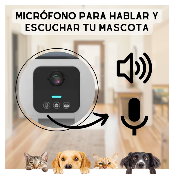 Dispensador Alimento mascota con cámara - Imagen 4